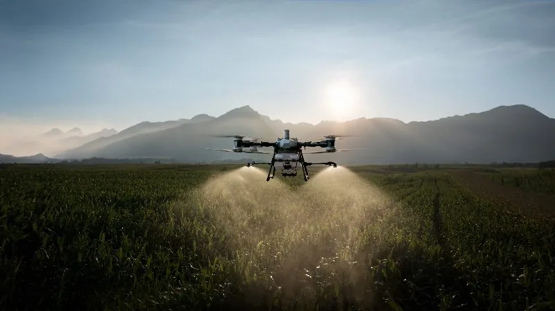 Ile kosztuje oprysk dronem za hektar? Ceny i od czego zależą