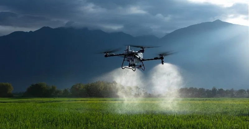 Dron rolniczy i opryskiwacz polowy – porównanie zabiegu